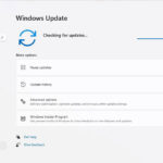Essential Actions to Take After Installing Windows 11