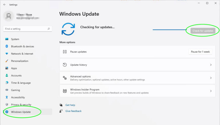 Essential Actions to Take After Installing Windows 11