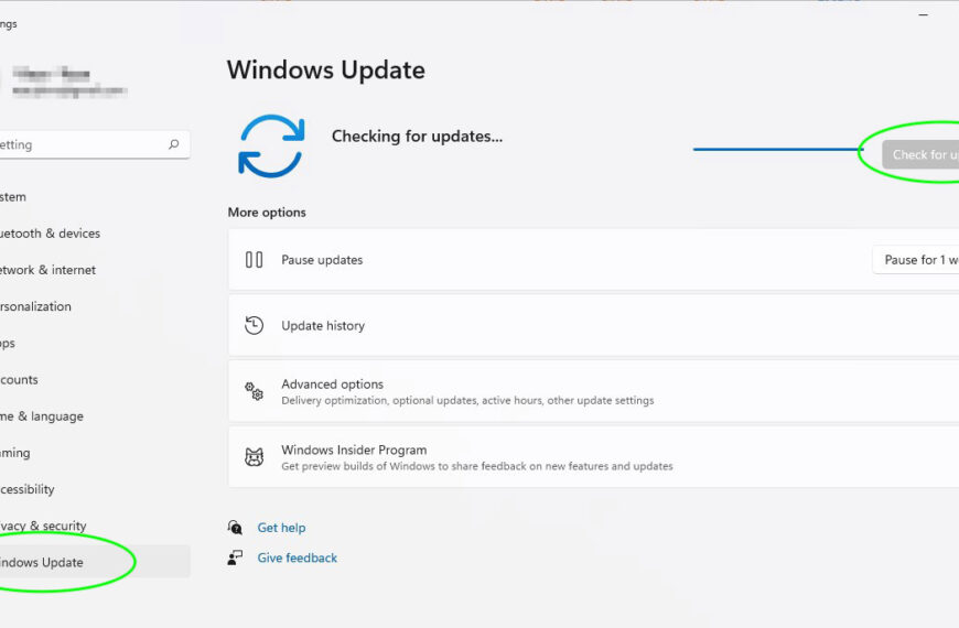 Essential Actions to Take After Installing Windows 11