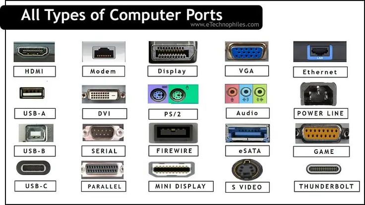 Understanding Port: A Guide to Its Uses and Significance